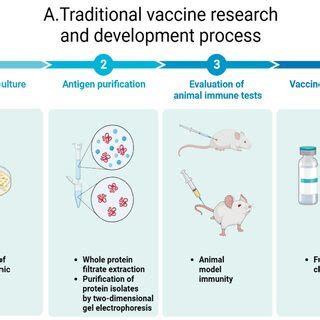 Vaccine Process 的图像结果
