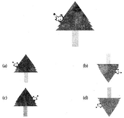 Chapter 12 Light Shadow and Reflection Class 6 Science 的图像结果