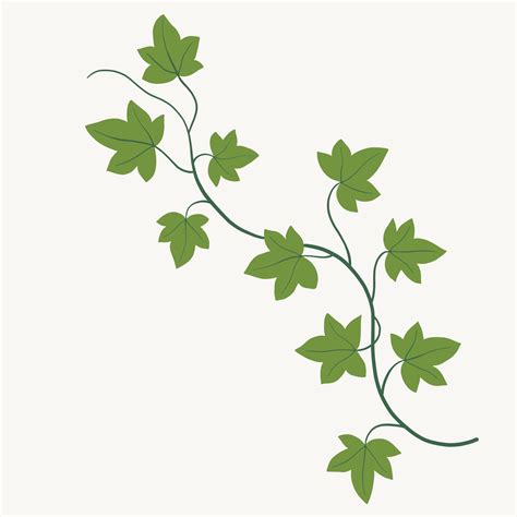 Ivy Vines Drawing at Christopher Schauer blog