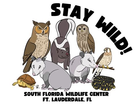 Ambassador Animal Program – South Florida Wildlife Center