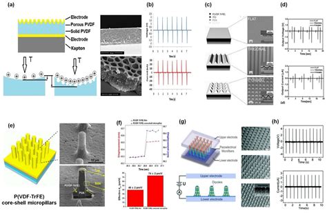 Recent Structure Development of Poly(vinylidene fluoride)-Based ...