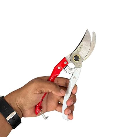 CJ farms and Agritech Professional Hoof Cutting Tool for Goats and ...
