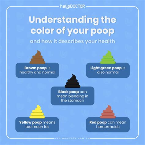 Poop Types 的图像结果