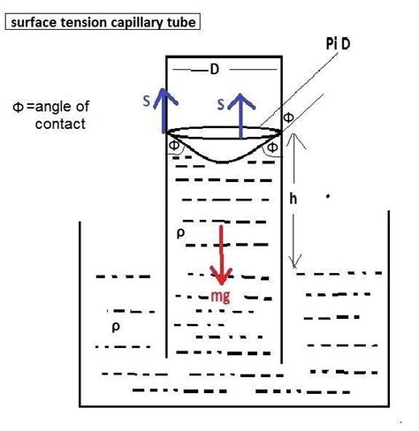 Define capillarity. Derive an expression for the height to which a ...