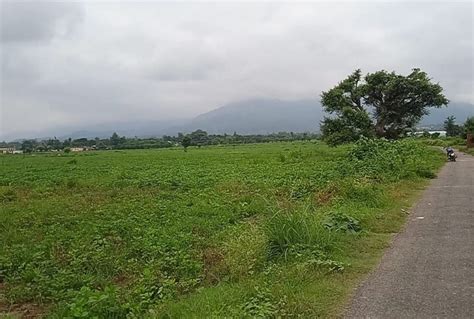 1.50 Acre Agricultural/Farm Land for Sale in Naya Raipur, Raipur - by ...