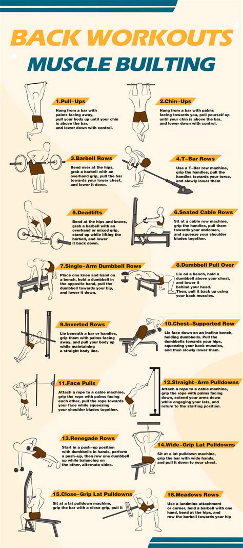 Image result for Different Back Workouts