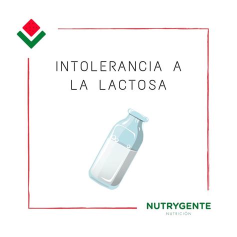 Intolerancia a la lactosa, ¿qué hacer? - Nutrygente