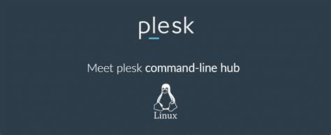 Image result for Plesk Command Line