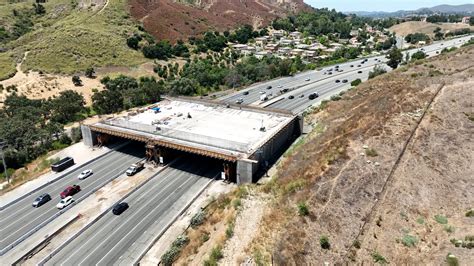 Caltrans releases new footage of 101 Freeway wildlife bridge | KTLA