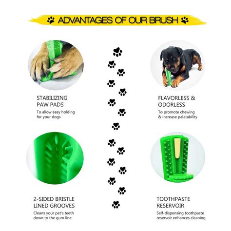 Dog Chew Brush – Ekartpet