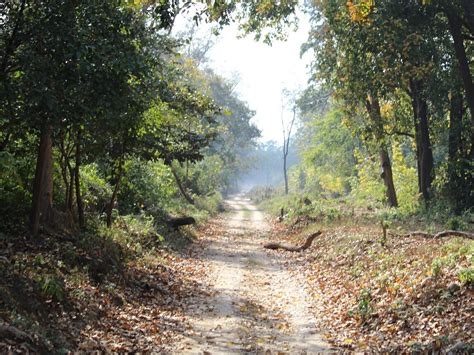 HARITHA GRAND (Mulugu) - Hotel Reviews & Photos - Tripadvisor