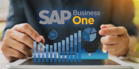 What Is SAP Program 的图像结果