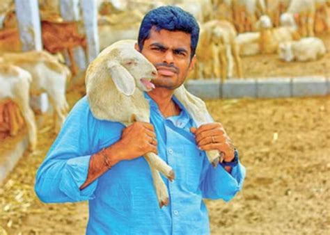 கலைஞர் இருந்திருந்தால் அண்ணாமலை ஆட்டுக்குட்டி மேய்த்துக்கொண்டிருப்பார் ...