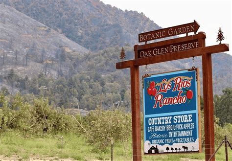 Apple Picking Near Los Angeles: 7 Must-Visit Orchards - LA Digs