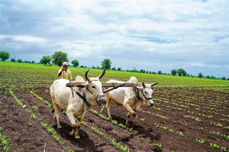 Image result for Farming Simulator 19 Mods.com