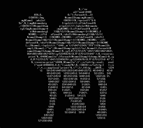 Image result for Writing Perl