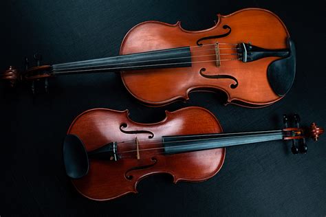 Image result for Violin