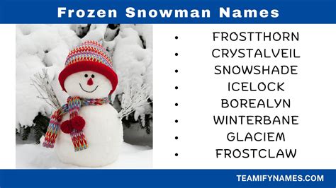 600+ Dirty Snowman Names to Spice Up Your Winter Fun – Teamify Names