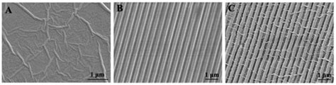 Development and Application of Novel Biomaterials for Tissue Engineering