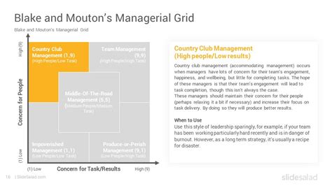 Managerial Grid Model 的图像结果