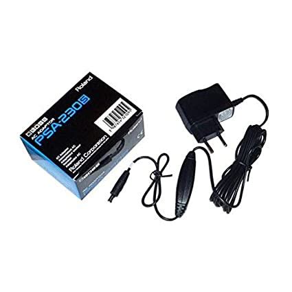 Roland PSA-230IN AC Adaptor : Amazon.in: Musical Instruments