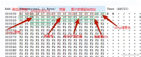 BMP File Format Examples 的图像结果