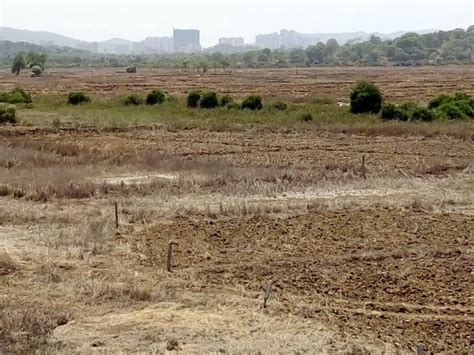 New Thane | INFRATECH Prime Plots & Property Expert