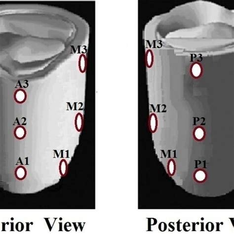 Piezoelectric Sensor Tutorial 的图像结果