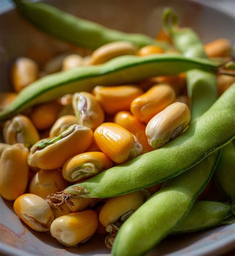 Growing Black Eyed Peas: 5 Secrets to a Thriving Garden – Vihaad Recipes