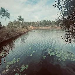 Best Top Rated Fishing pond in Puthenkulam, Kerala, India | Yappe.in