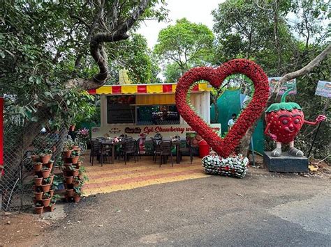 The Best Last Minute Hotels in Old Mahabaleshwar 2025 - Tripadvisor