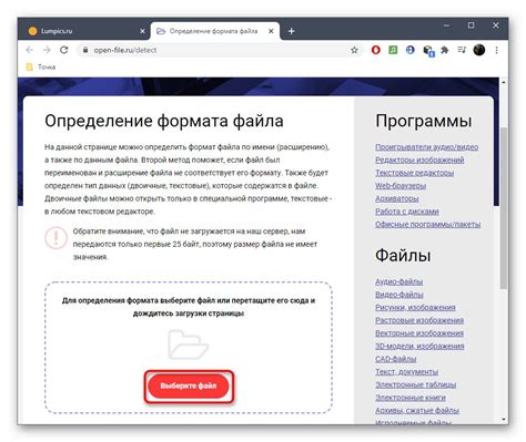 Check File Format 的图像结果