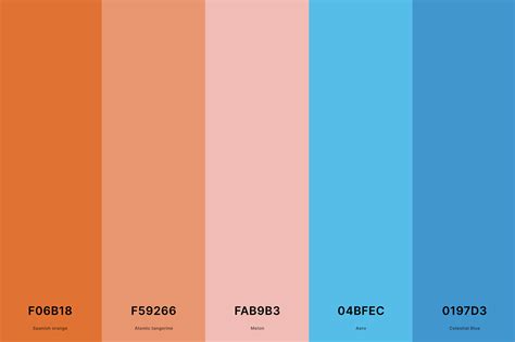 25+ Best Coral Color Palettes with Names and Hex Codes – CreativeBooster