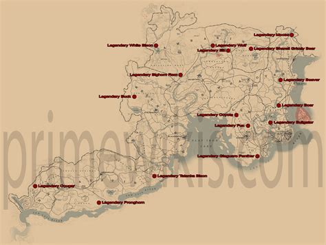 Image result for RDR2 All Animals Map