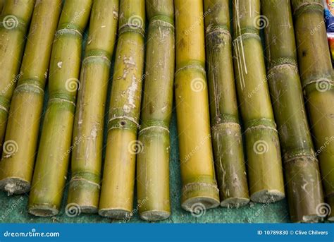 Sugar Cane Sticks for Sale in a Market Stock Photo - Image of process ...