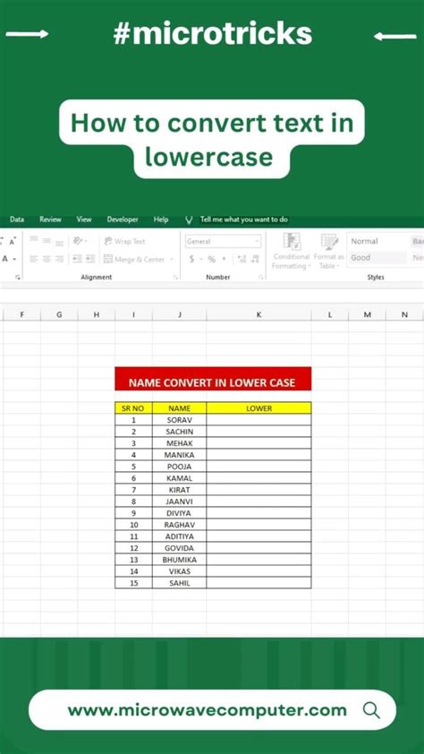 Image result for Power Query Transform to Lowercase Text