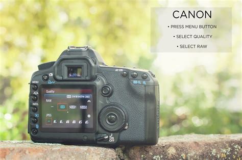 Raw Image Format 的图像结果