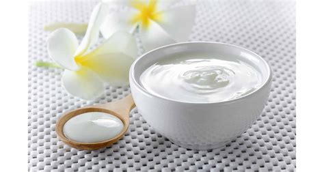 Does Frozen Yogurt Have Probiotics In It at Sam Moonlight blog