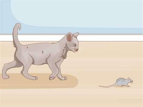 Homemade Rat Poison Recipe