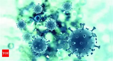 HMPV: 8-year-old found infected with HMPV; Gujarat tally rises to 3 ...