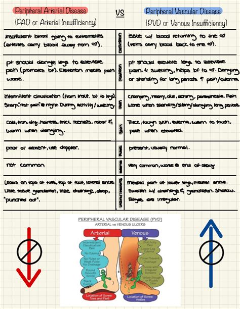 BAH PAD vs PVD - A&P BAH PAD vs PVD - Peripheral Arterial Disease (PAD ...