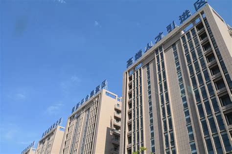 [中国经济导报]嘉兴港区：招商引资“高质量、加速度”