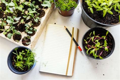 Image result for Write Natural Log in Python Program