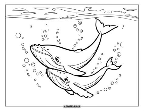 90+ Whale Coloring Pages for Kids & Adults (Free Printable PDFs)