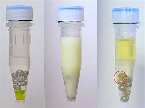 Microscale Extraction 的图像结果