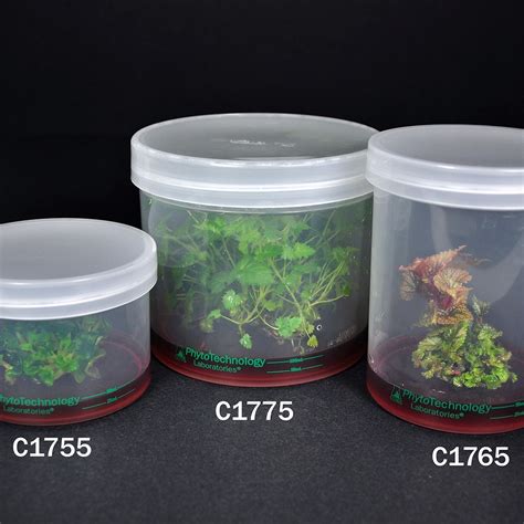 Life Technologies India: - FBS (foetal bovine serum, Fetal Bovine Serum ...