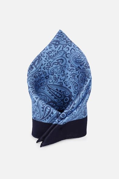 Buy Men Blue Print Formal Pocket Square Online - 39730758 | Peter England