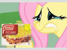 Horse meat in lasagne: Online jokers make fun of Findus  