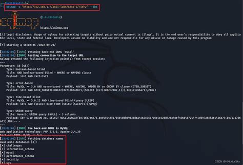 Sqlmap Tutorial Kali 的图像结果