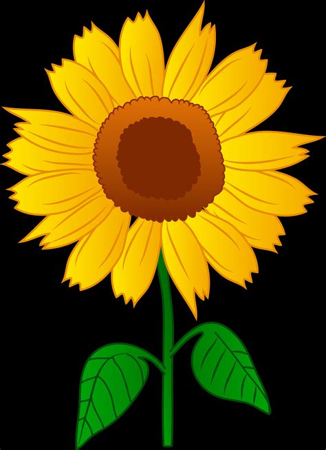 Sunflower Cliparts - Bring the Beauty of Nature to Your Designs